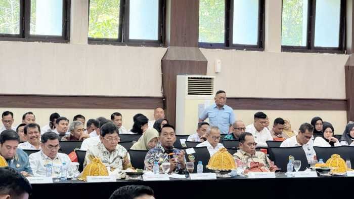 Di Depan Wagub Fatmawati, Bupati Syaharuddin Paparkan Strategi Digitalisasi Pemkab Sidrap 