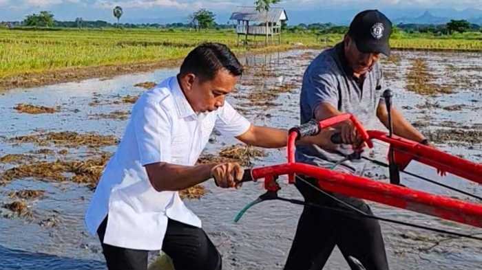 Kabar Baik Buat Panca Lautang Sidrap, Bupati Guyur 75 M untuk Lahan Kering 