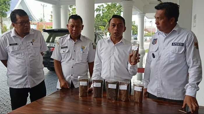 Sidrap Bakal Jadi Sentra Kopi Robusta, Bupati Target Pengembangan 10 Hektare 