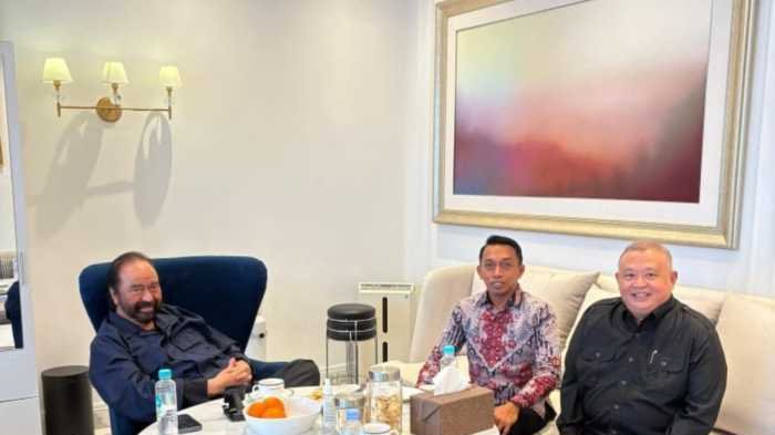 Syaharuddin Alrif  Bertemu Ketum DPP Surya Paloh di Jakarta, Bahas Persiapan Rakernas Nasdem 2025