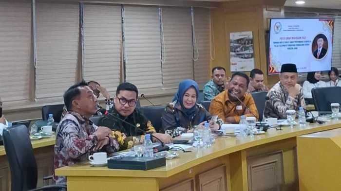Syaharuddin Alrif di FGD DPD RI tentang Municipal Bond, Sidrap Butuh Implementasi, Bukan Hanya Wacana  
