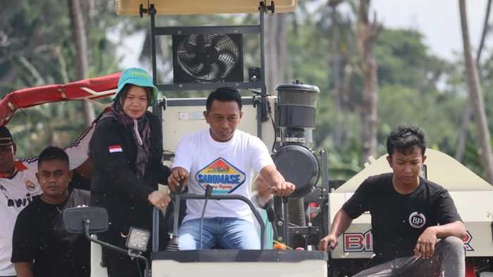 Bupati Sidrap dan Direktur Alsintan Kementan Panen Raya di Panca Lautang 