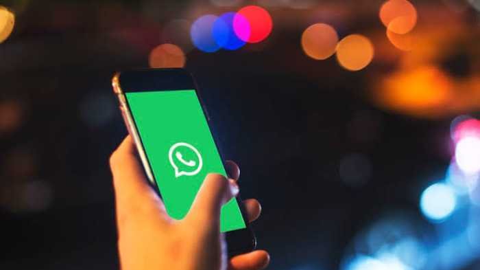 WhatsApp Hadirkan Fitur di Wear OS, Bisa Chat Tanpa Bergantung Pada Ponsel