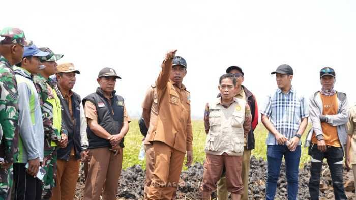Kemarau Panjang, Bupati Sidrap Selamatan Ratusan Hektare Sawah Lewat Pompanisasi Danau Sidenreng